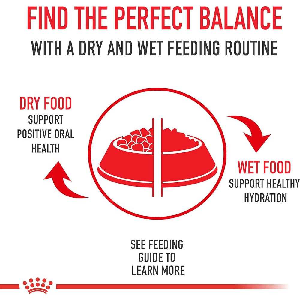 Royal Canin Medium Puppy Dry Dog Food - Pet Supplies online store
