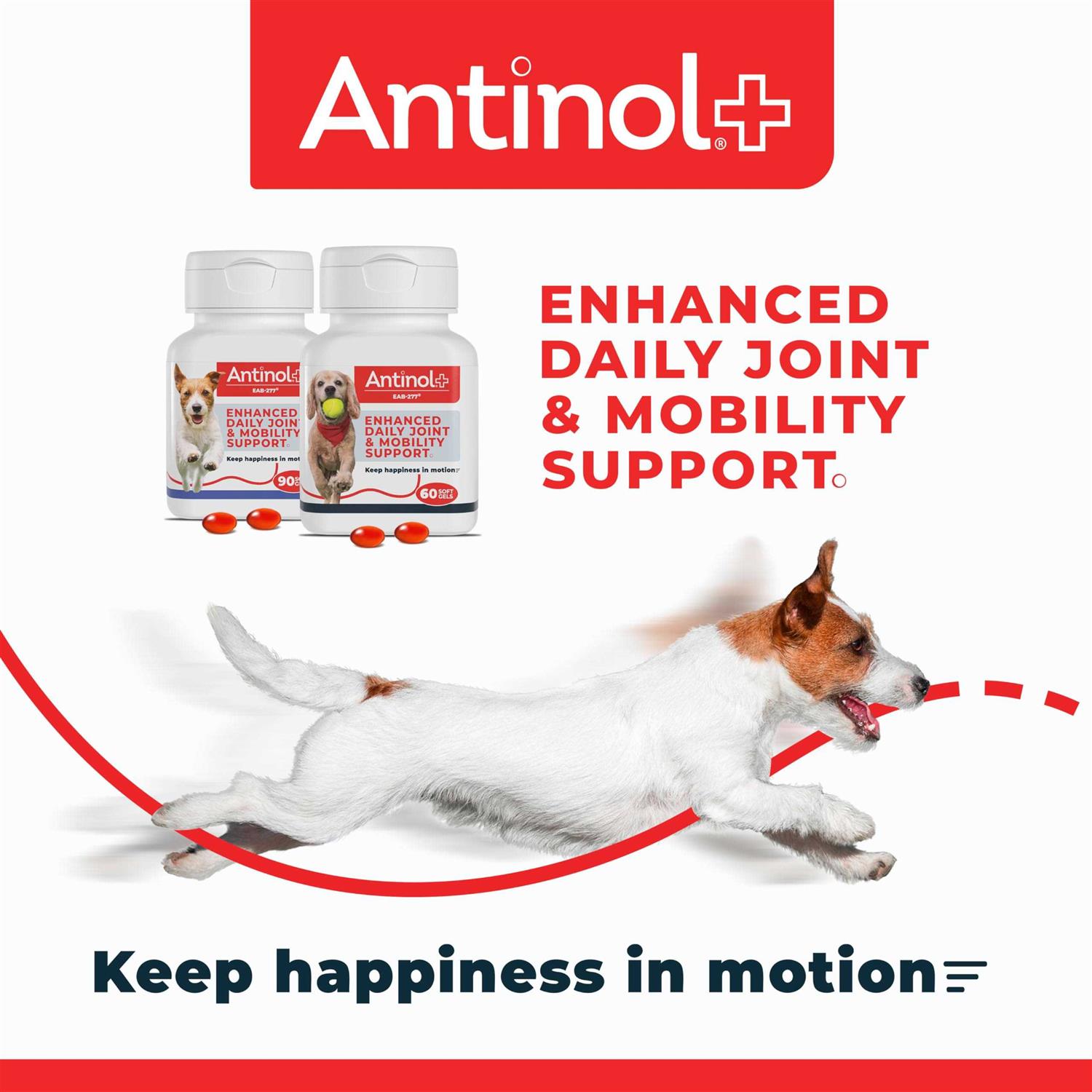 Antinol Plus 60ct - Pet Supplies online store