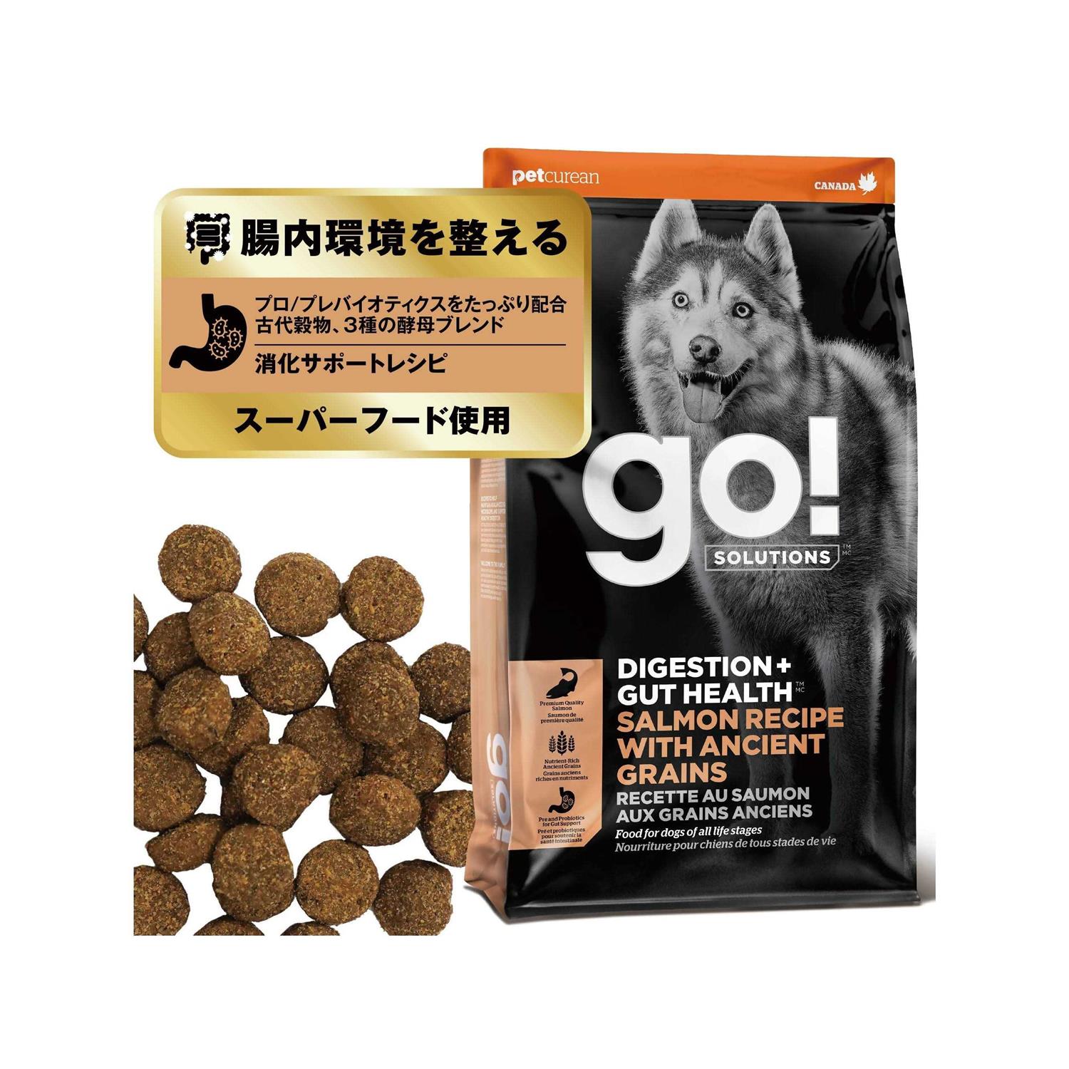 Go! Solutions Digestion Gut Health Salmon Recipe with Ancient Grains for Dogs - Pet Supplies online store