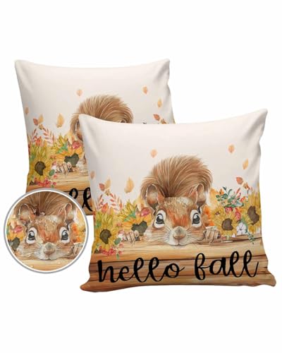 Outdoor Pillow Covers Waterproof, Hello Fall Throw Pillowcase Decorative Cover, Thanksgiving Squirrel Sunflower Wooden Garden Cushion Case Set of 2 for Sofa, Couch, Tent, Patio, 16