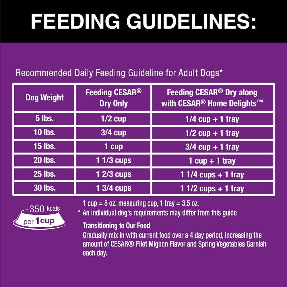 Cesar Filet Mignon Flavor & Spring Vegetables Garnish Small Breed Dry Dog Food - Pet Supplies online store