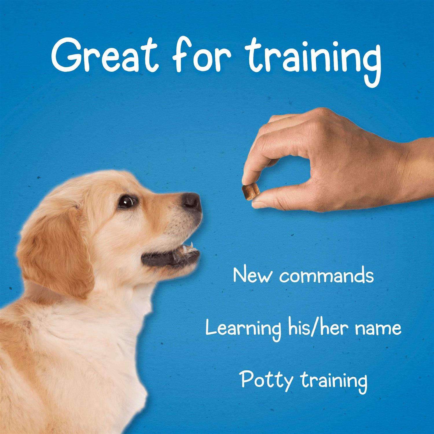 Purina Puppy Chow Dog Training Treats - Pet Supplies online store