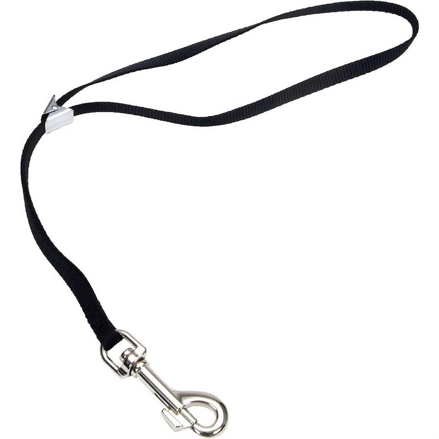 Coastal 5/8 Grooming Loop - Pet Supplies online store