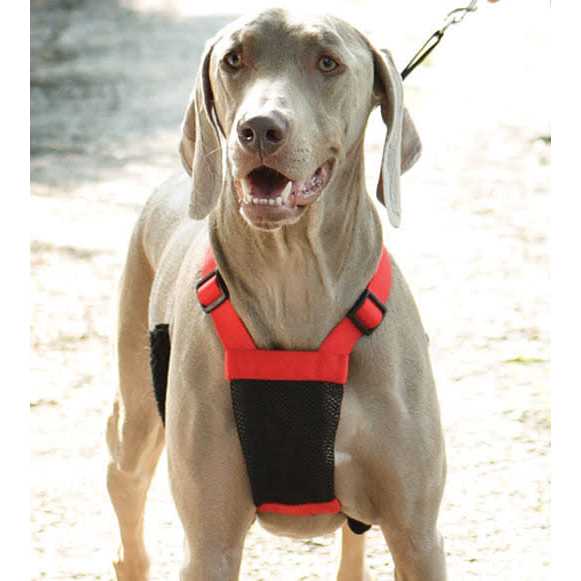 Sporn Mesh Non Pull Dog Harness - Pet Supplies online store