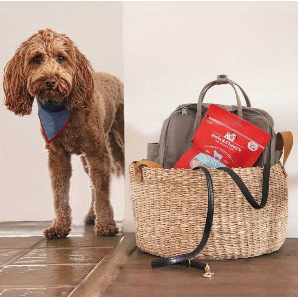 Stella & Chewy's Beef Freeze Dried Dog Treats - Pet Supplies online store