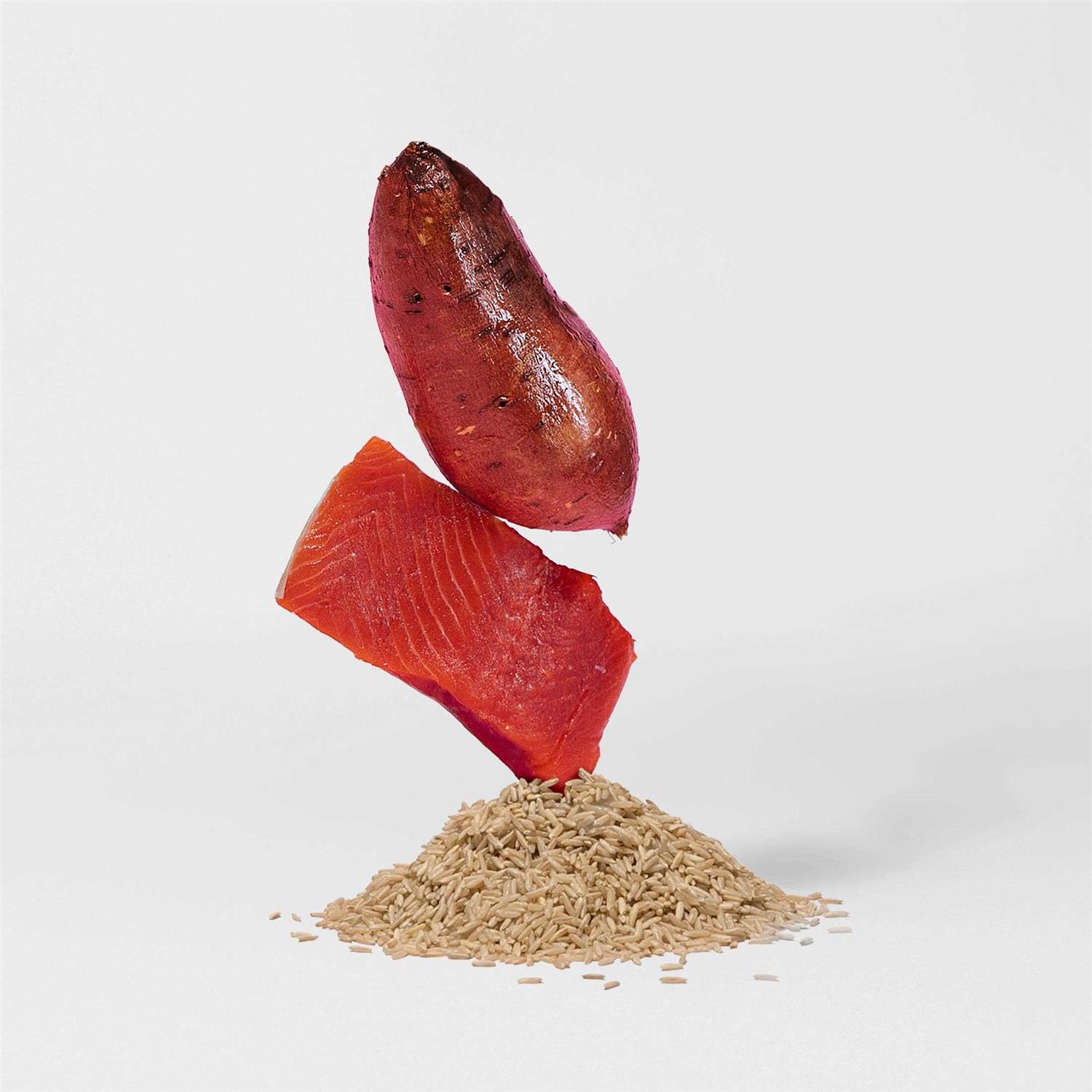 Jinx Salmon Brown Rice & Sweet Potato Dry Dog Food - Pet Supplies online store