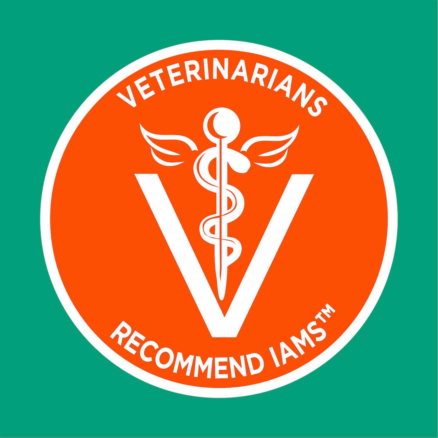 IAMS ProActive Health Hairball Care Adult Cat Dry Food - Pet Supplies online store