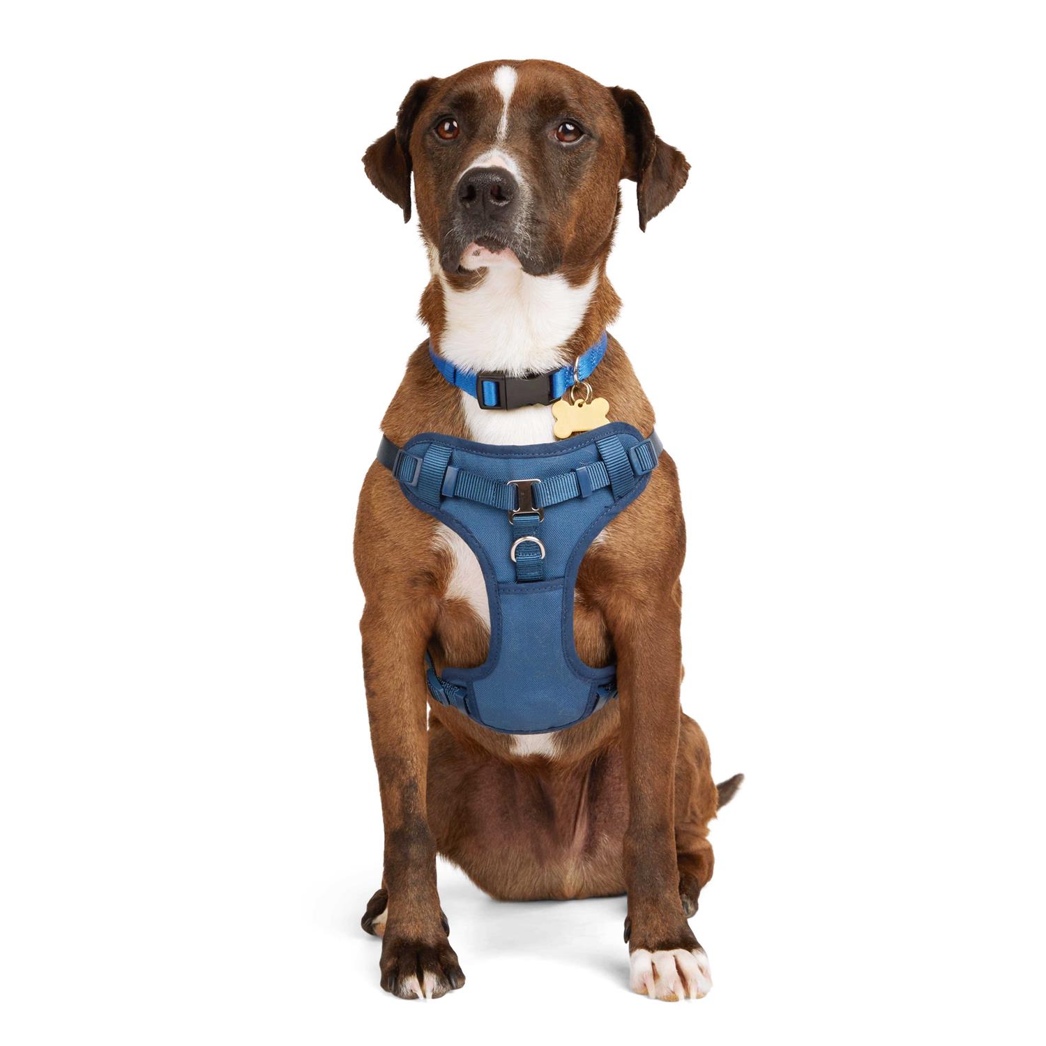 Youly the Champion Padded Step-in Dog Harness - Pet Supplies online store