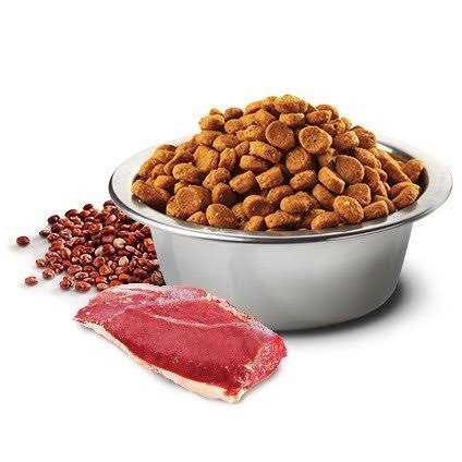 Farmina N&D Quinoa Digestion Lamb - Pet Supplies online store