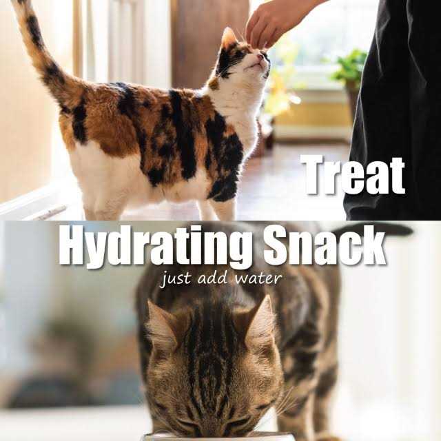 Whole Life Pet Just One Ingredient Freeze-Dried Chicken Cat Treats - Pet Supplies online store