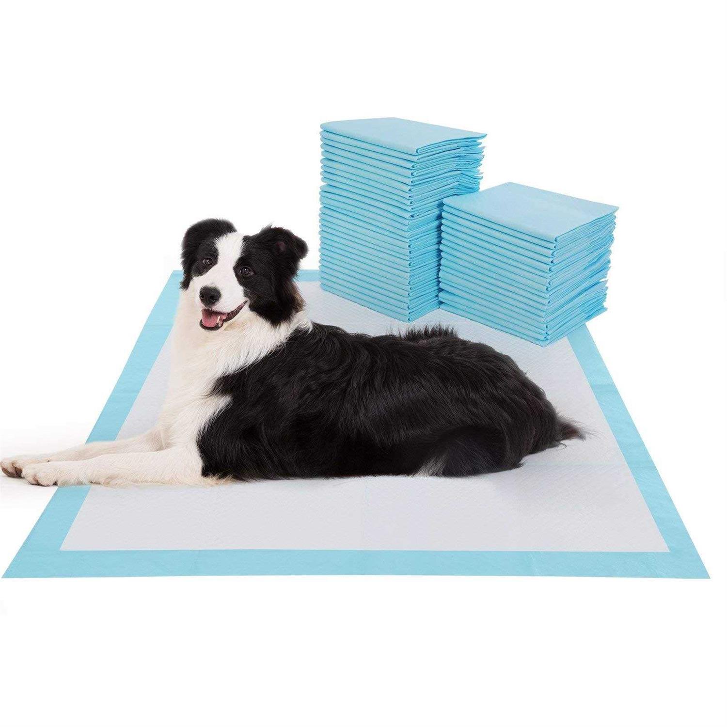 BESTLE Large Pet Training and Puppy Pads Pee Pads for Dogs Super Absorbent & Leak-Proof - Pet Supplies online store