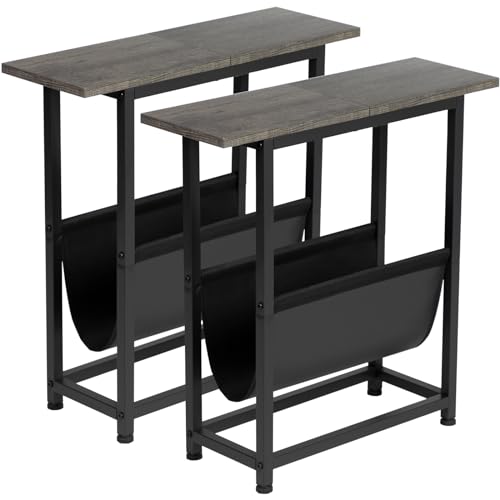 Narrow Side Tables Set of 2, Slim End Tables Living Room for Small Spaces, Skinny Snack Couch Table with Magazine Holder, Metal Frame, HETN02DG