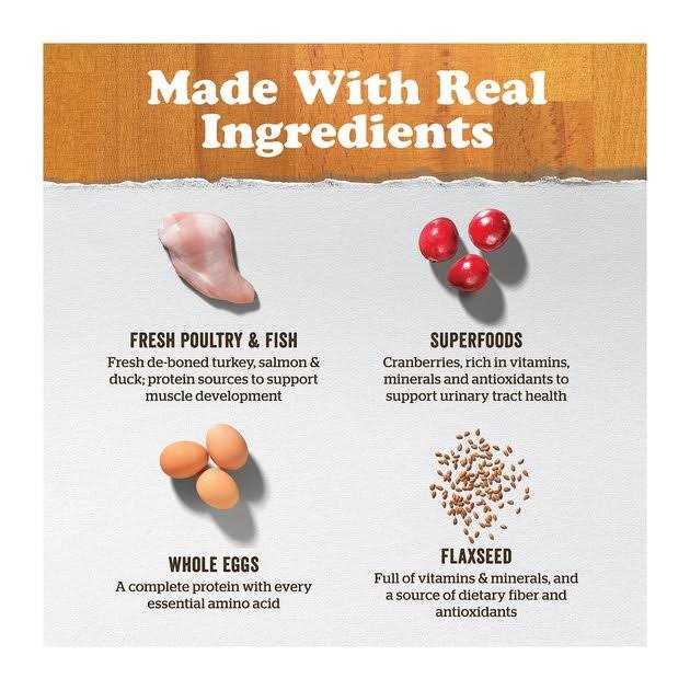 Now Fresh Grain-Free Adult Dry Cat Food - Pet Supplies online store