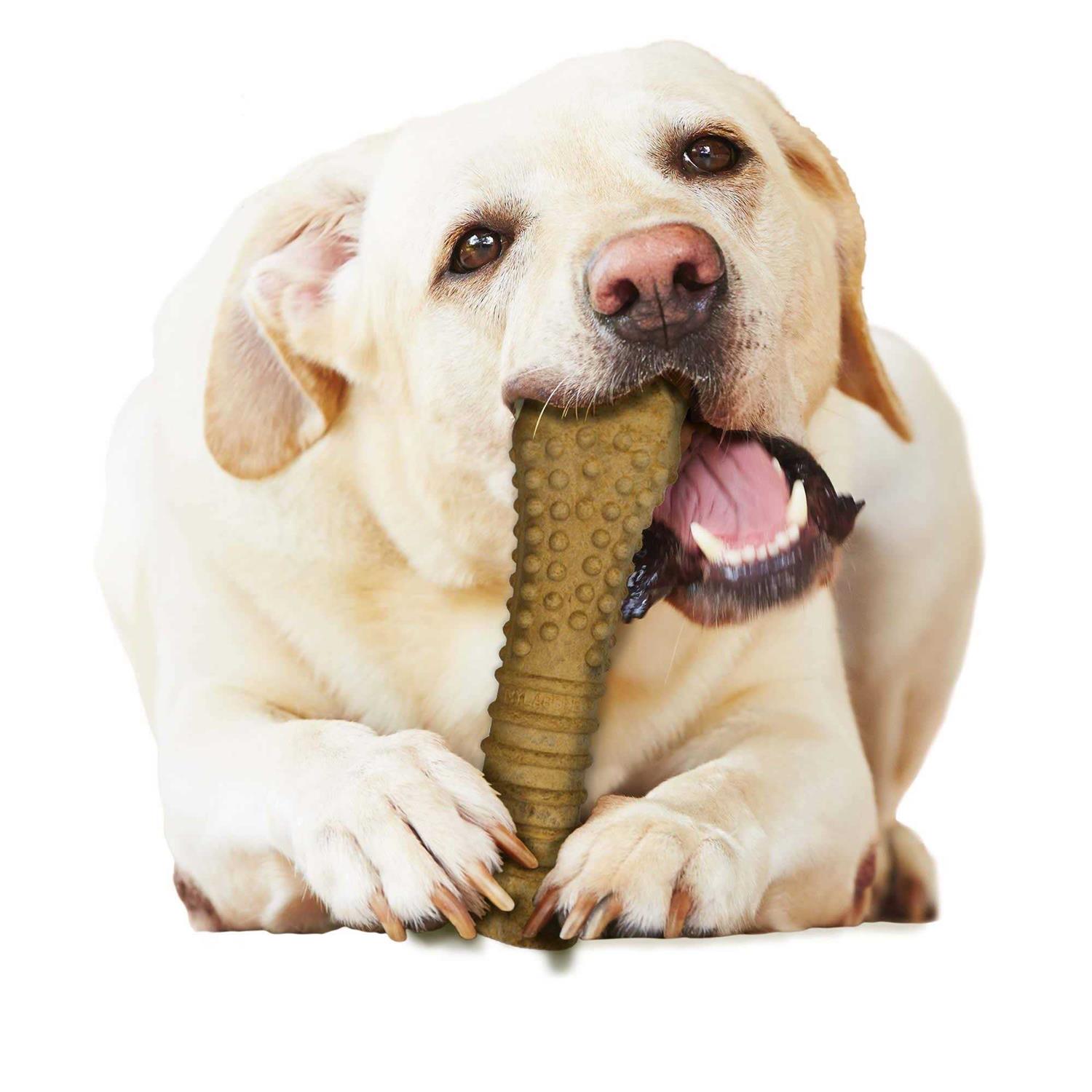 Nylabone Natural Healthy Edibles Peanut Butter Flavor Chew Treats - Pet Supplies online store