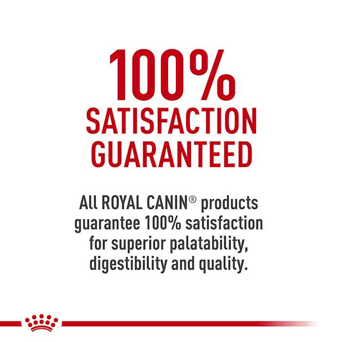 Royal Canin Breed Health Nutrition German Shepherd Adult Loaf in Sauce Canned Dog Food - Pet Supplies online store