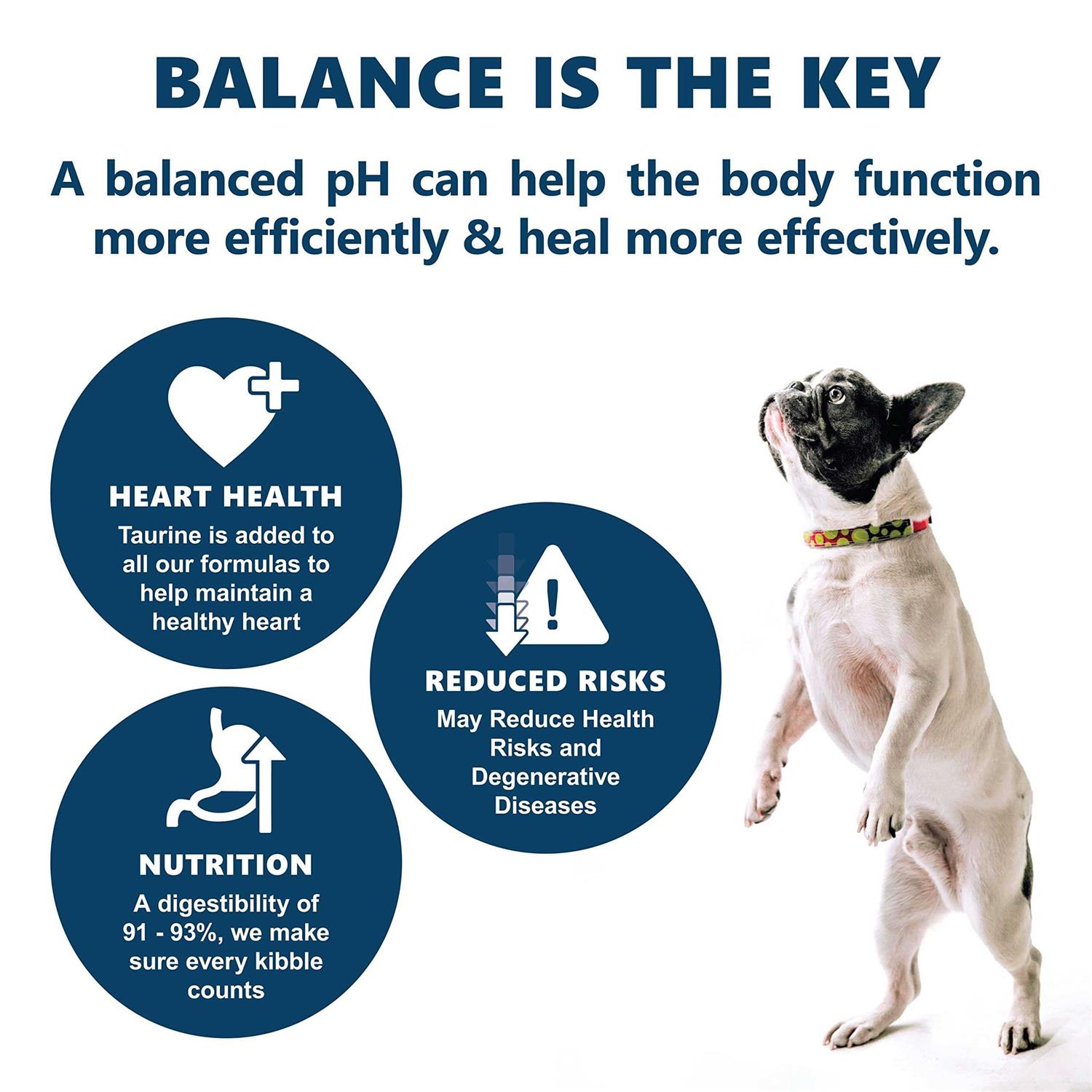 Canine Caviar Open Meadow Holistic Entree Dry Dog Food - Pet Supplies online store