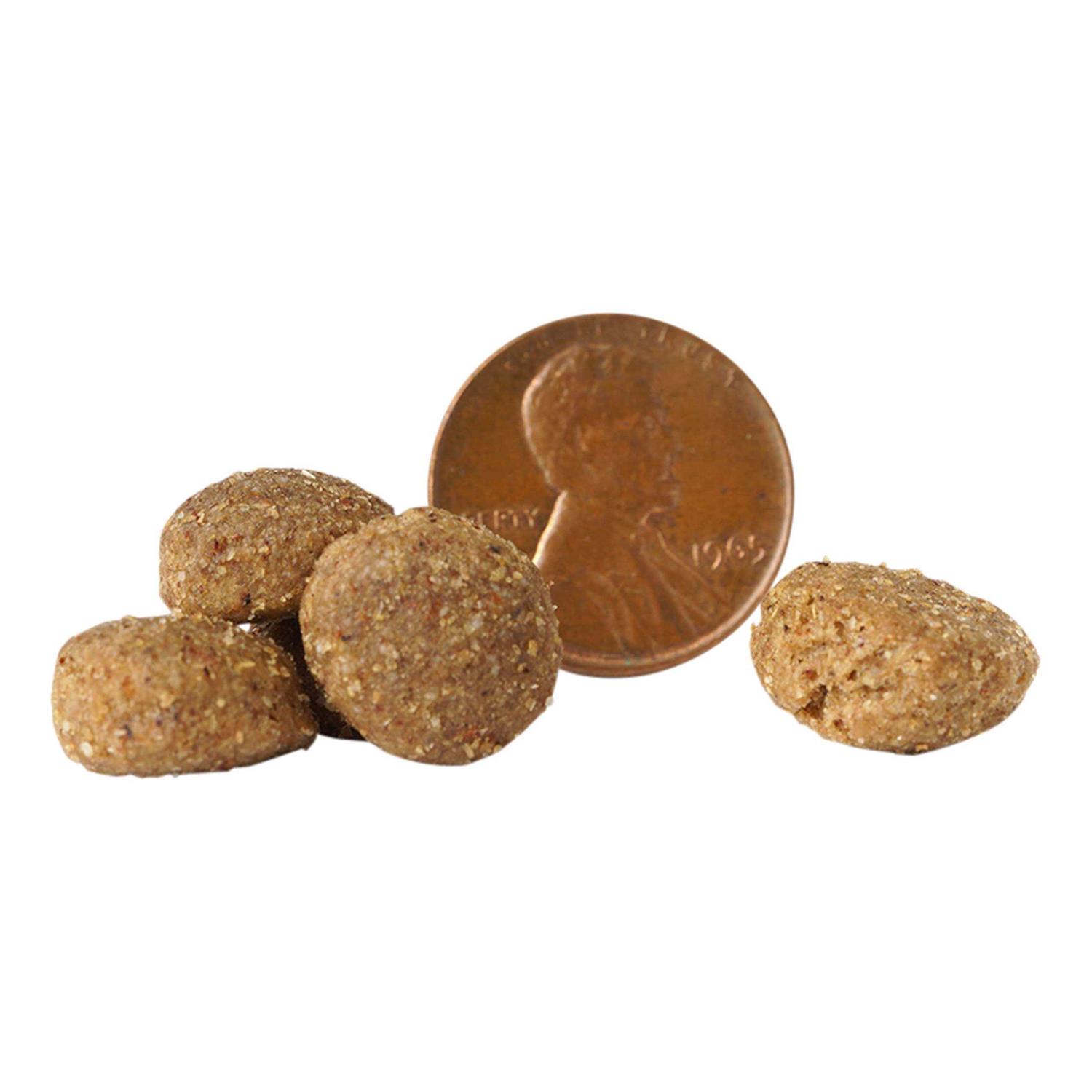 Victor Chicken Meal & Brown Rice Dry Dog Food - Pet Supplies online store