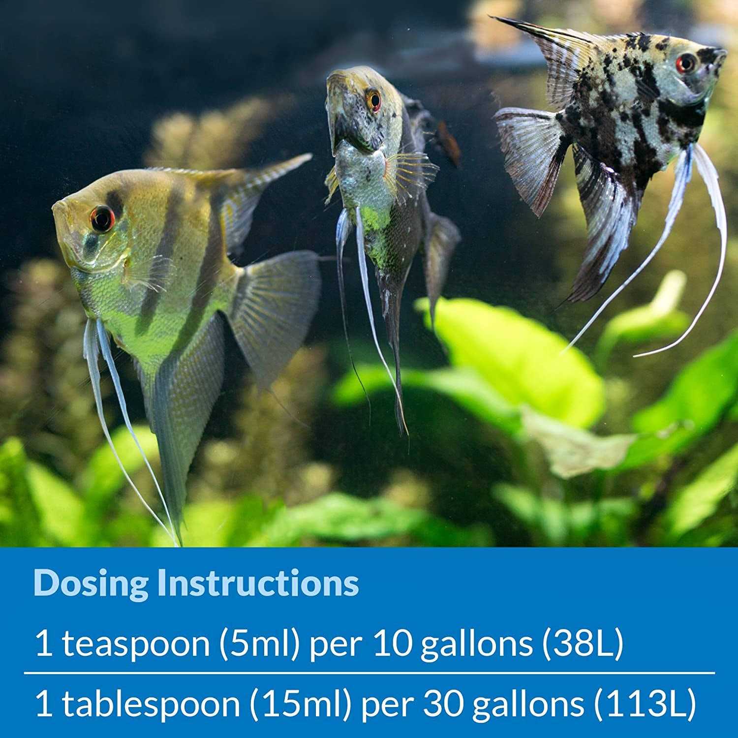 API Stress Zyme Plus - Pet Supplies online store