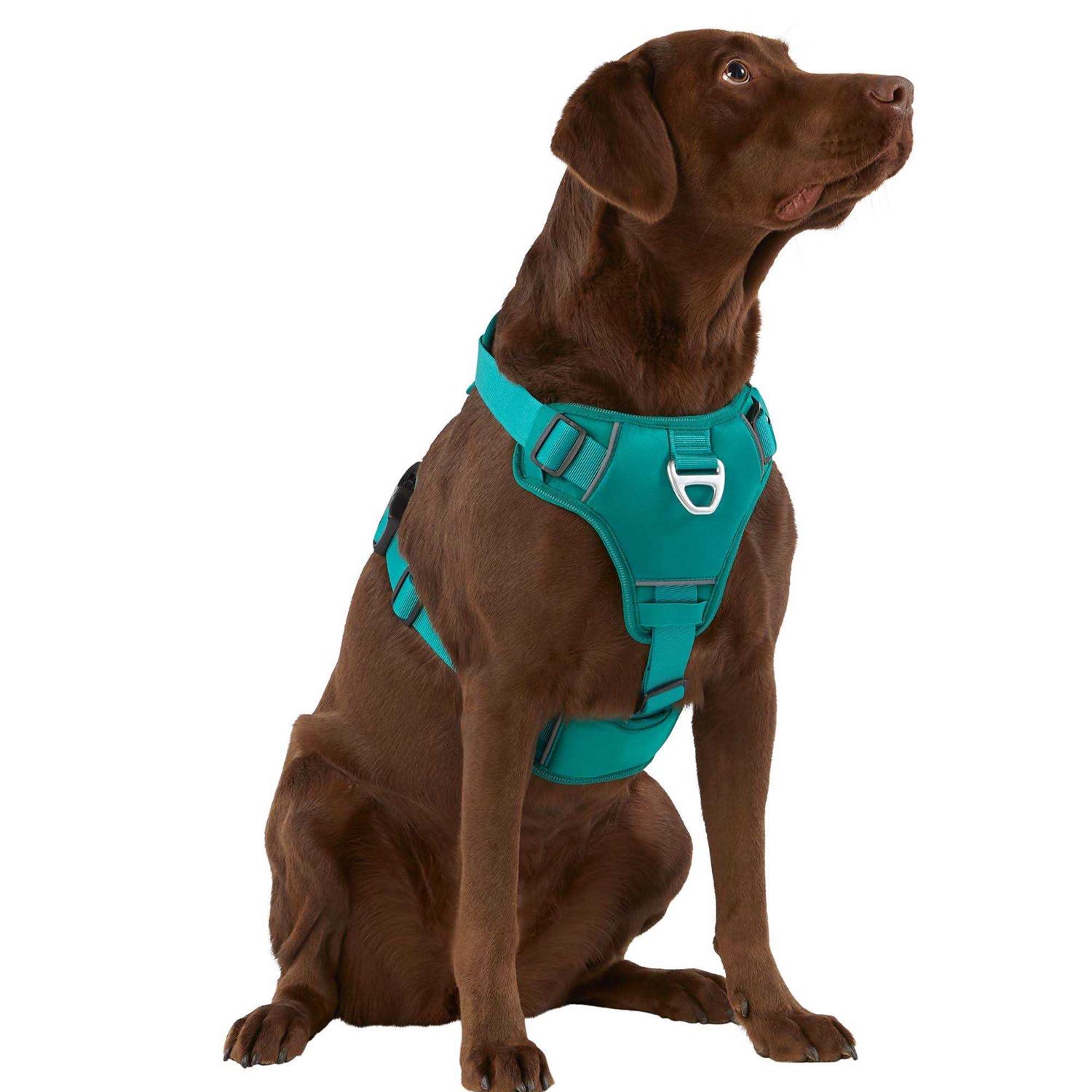 Arcadia Trail Neoprene Dog Harness - Pet Supplies online store