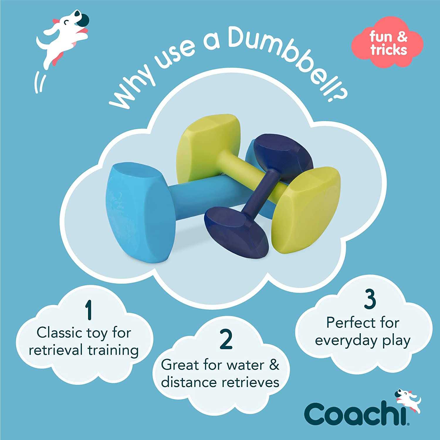 Coachi Dumbbell Training - Pet Supplies online store
