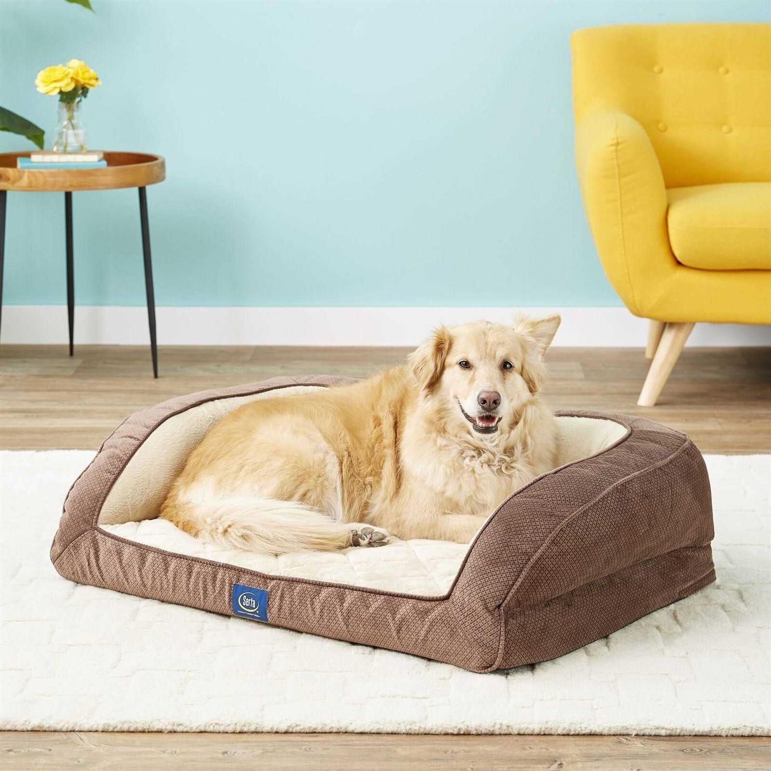 Serta Orthopedic Quilted Dog Cat Couch Bed - Pet Supplies online store