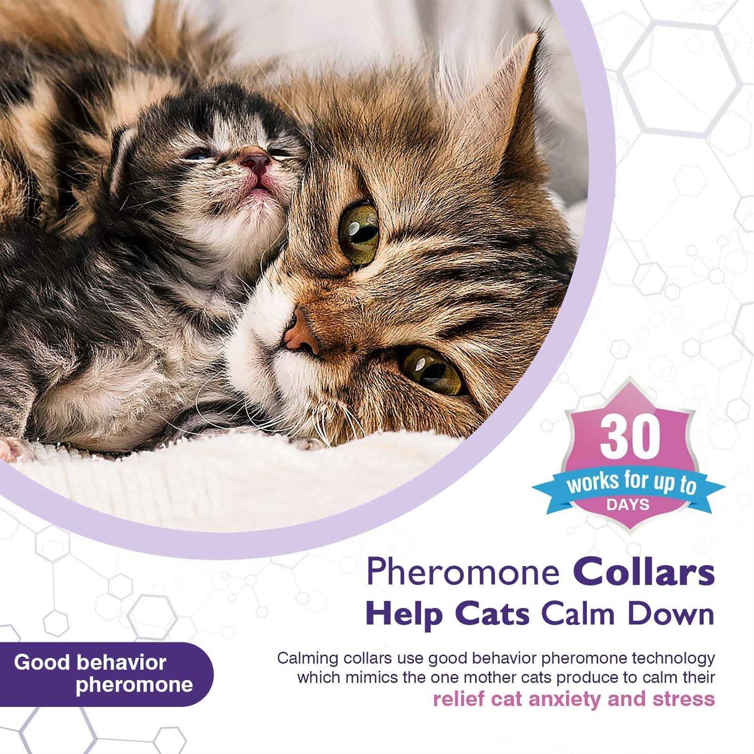 Tcllka 3 Pack Calming Collar Efficient Relieve Reduce Anxiety Stress Pheromones Calm Relaxing Comfortable Breakaway - Pet Supplies online store