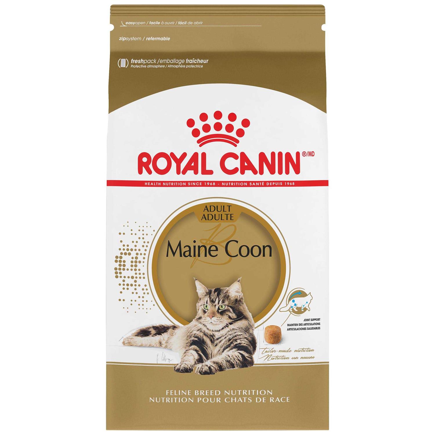 Royal Canin Feline Breed Nutrition Maine Coon Dry Cat Food - Pet Supplies online store