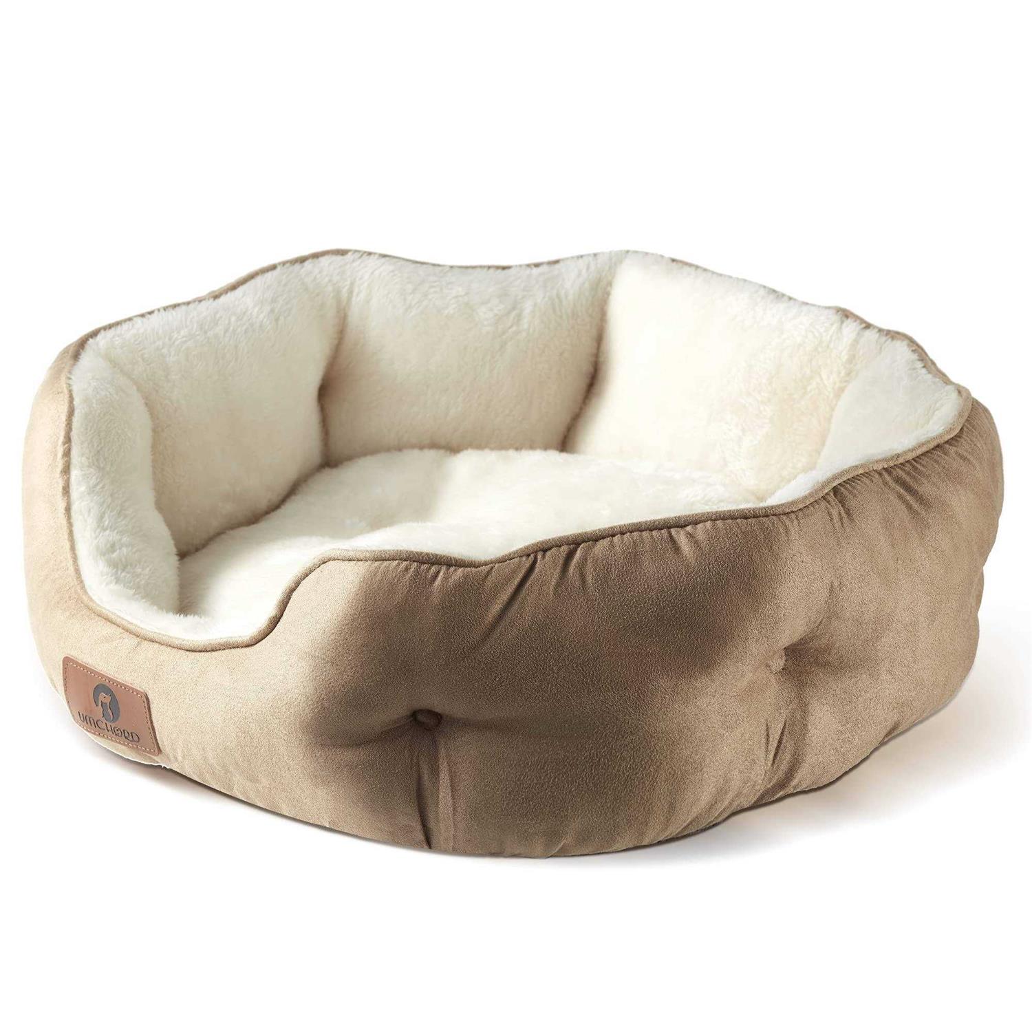 Asvin Small Dog Bed for Small Dogs, Cat Beds for Indoor Cats, Pet Bed for Puppy and Kitty - Pet Supplies online store