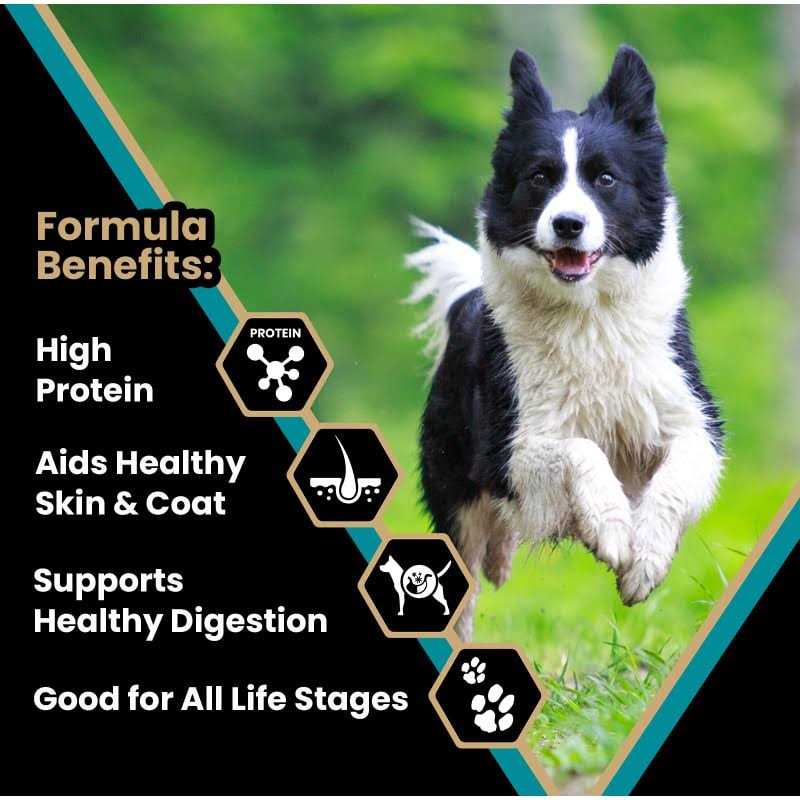 Victor Hi-Pro Plus Dry Dog Food - Pet Supplies online store