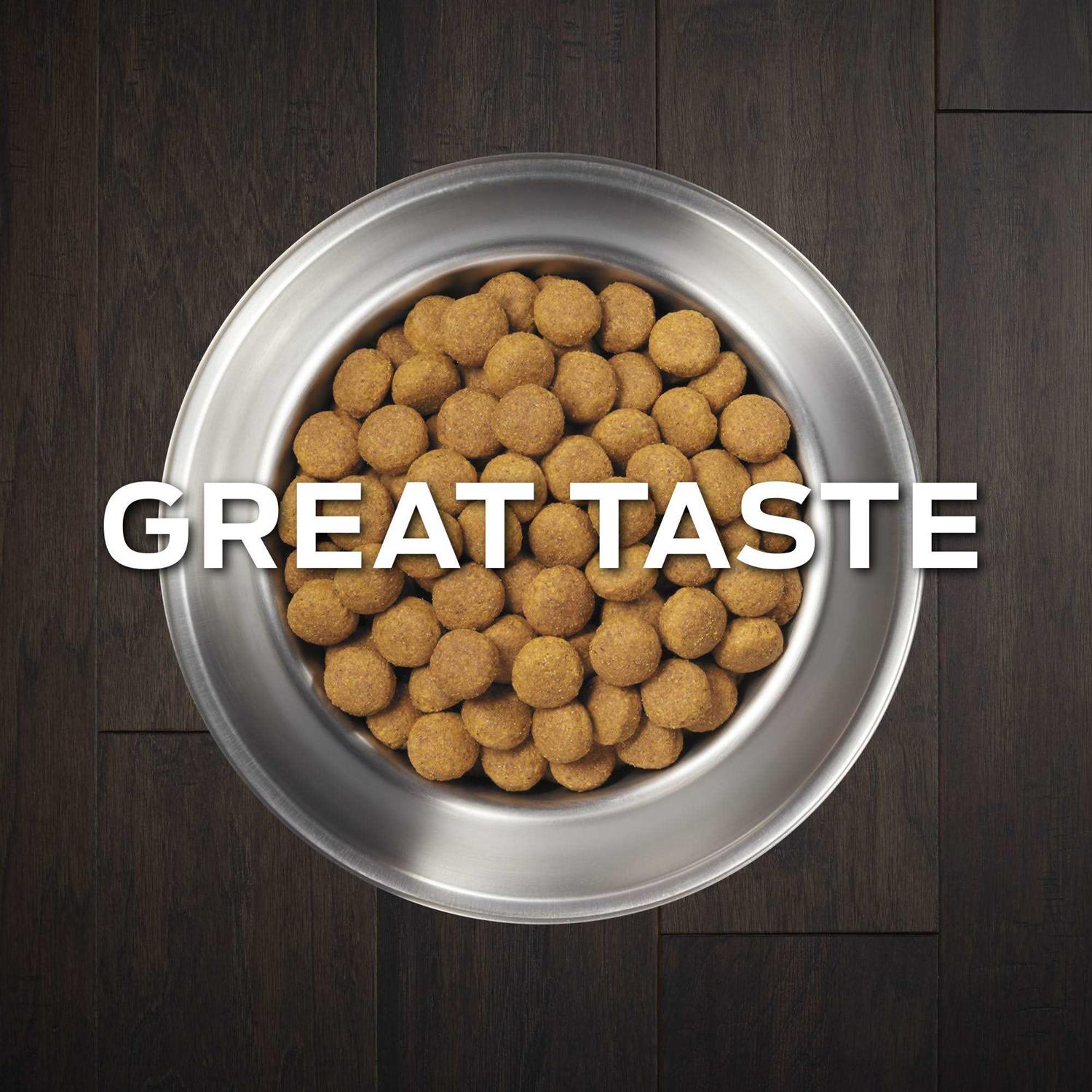 Purina Pro Plan Veterinary Diets DH Dental Health Formula Dry Dog Food - Pet Supplies online store