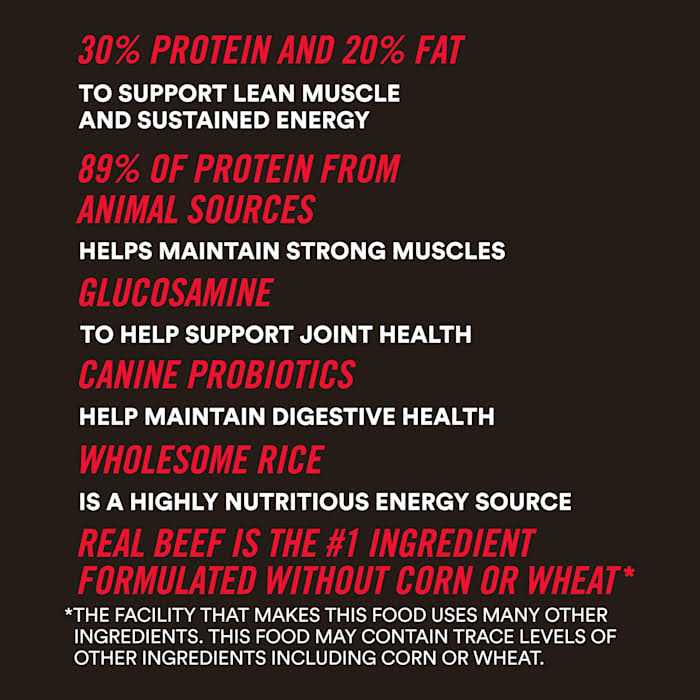 WholeHearted Active Performance High-Protein Beef & Rice Recipe Dry Dog Food - Pet Supplies online store