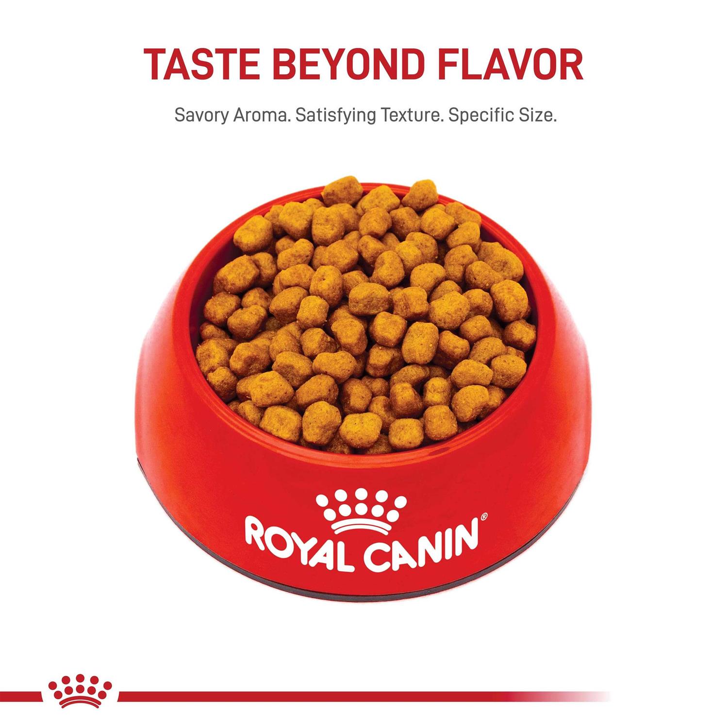 Royal Canin Breed Shih Tzu Adult Dry Dog Food - Pet Supplies online store