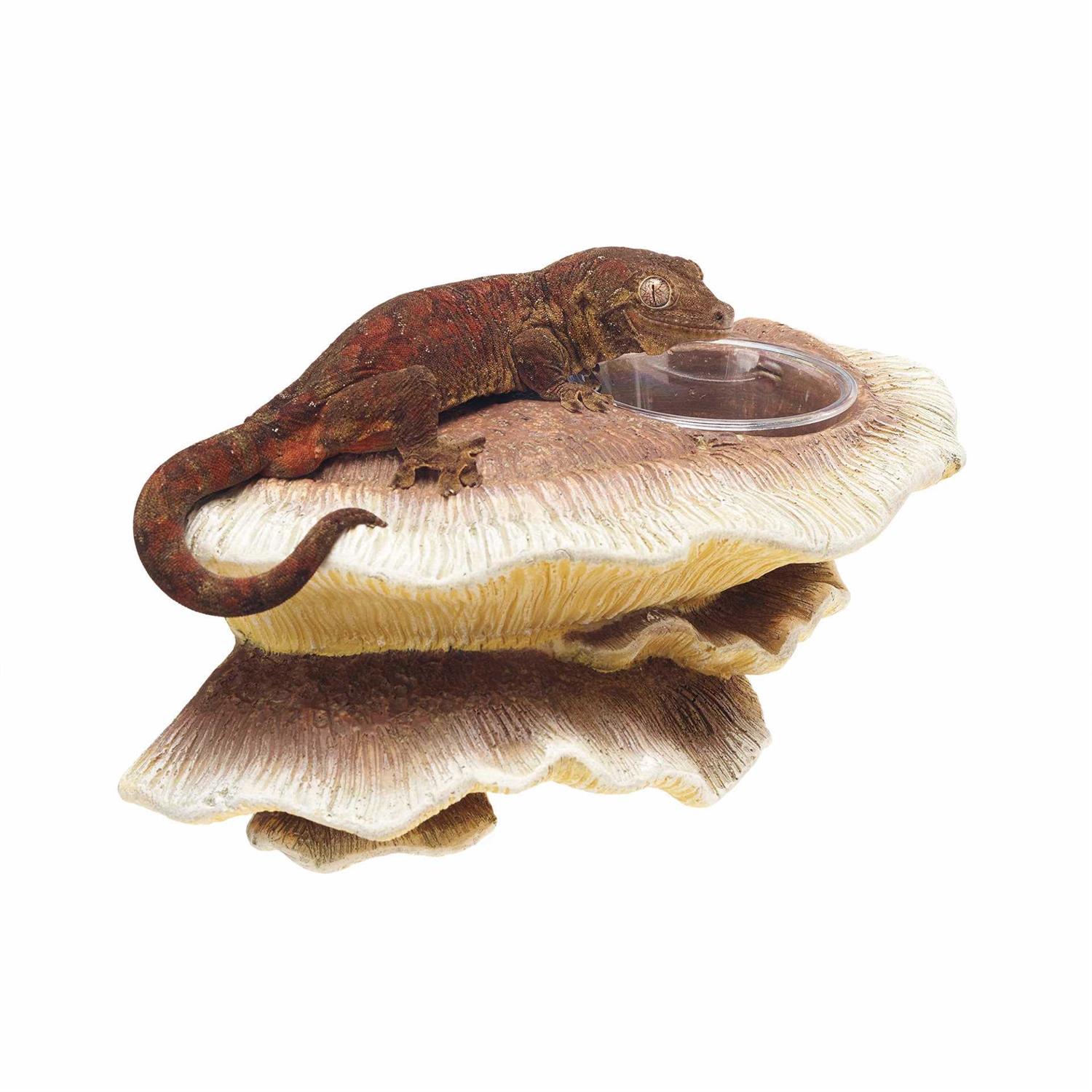 Zilla Vertical Mushroom Feeding Ledge - Pet Supplies online store