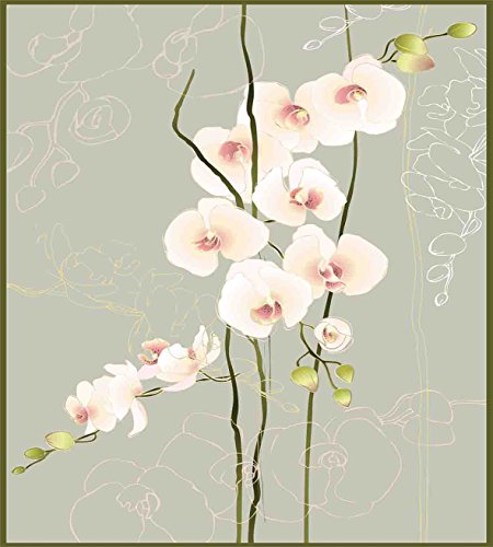 Ambesonne Flower Duvet -Cover Set, Orchid Flower Floral Nature Country Inspired Design Petals -Stencil Artwork, Decorative 3 Piece Bedding Set with 2 Pillow Shams, Queen Size, Pink Grey