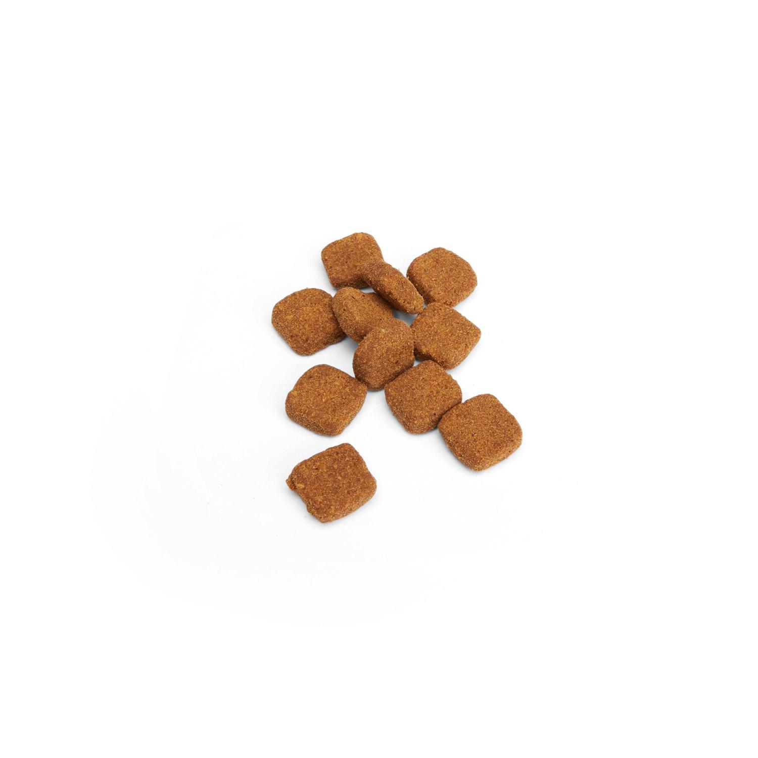 Well & Good Cat Allergy Soft Chews - Pet Supplies online store