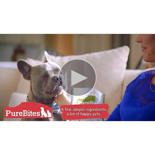 PureBites Freeze Dried Beef Liver Dog Treats - Pet Supplies online store