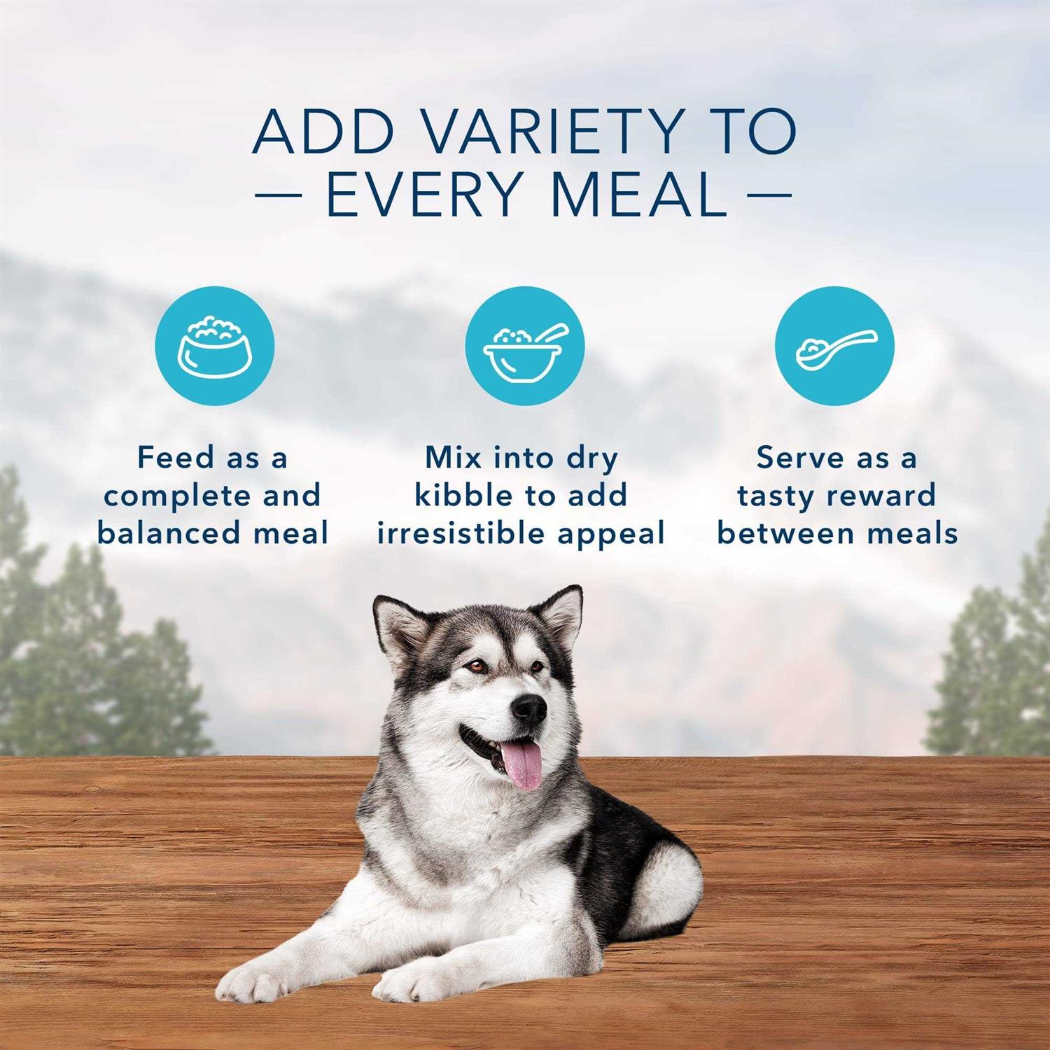 Blue Buffalo Wilderness High Protein Beef & Salmon Adult Wet Dog Food Variety Pack Grain-Free - Pet Supplies online store