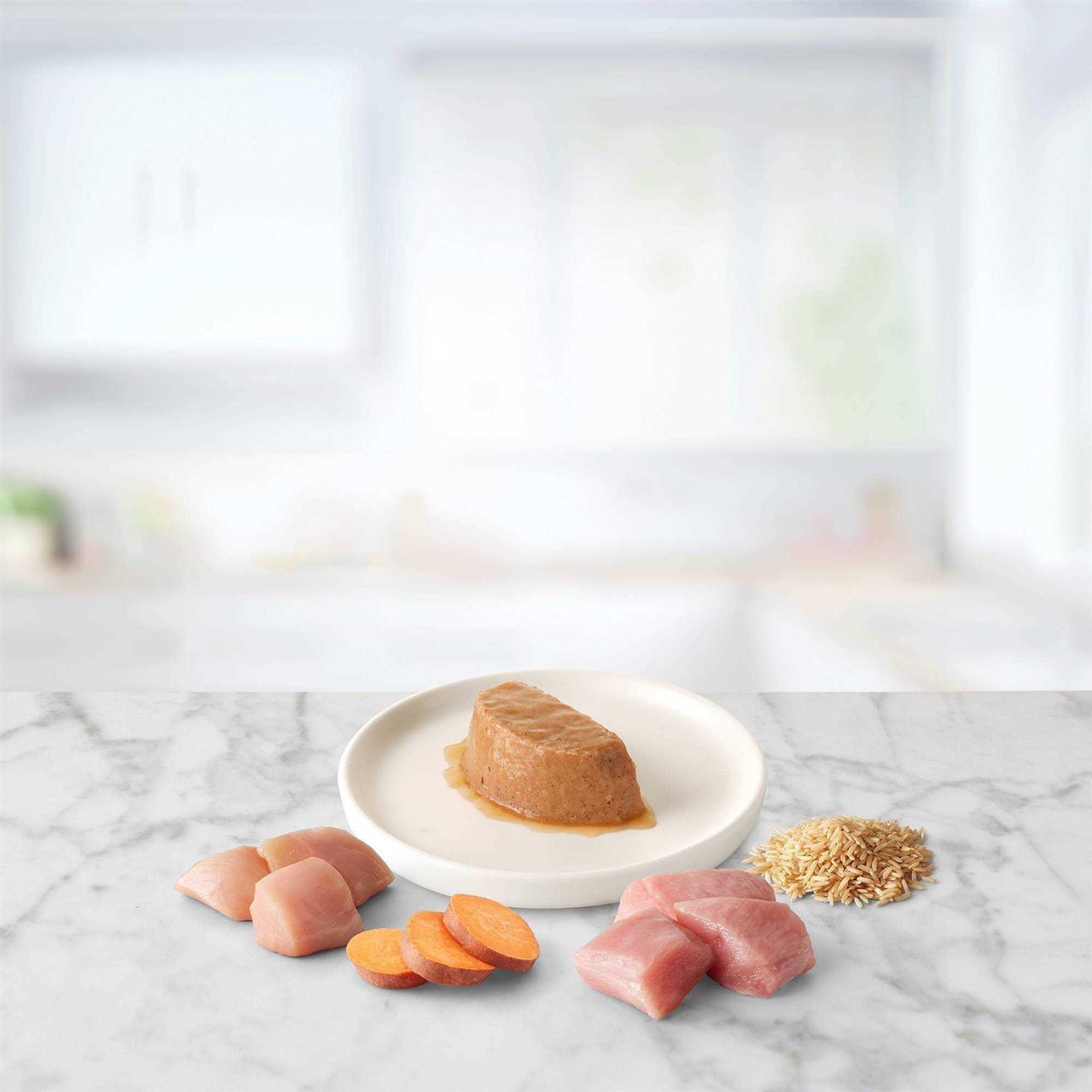 Blue Buffalo Tastefuls Spoonless Singles Chicken and Turkey Pate Wet Adult Cat Food Variety Pack - Pet Supplies online store