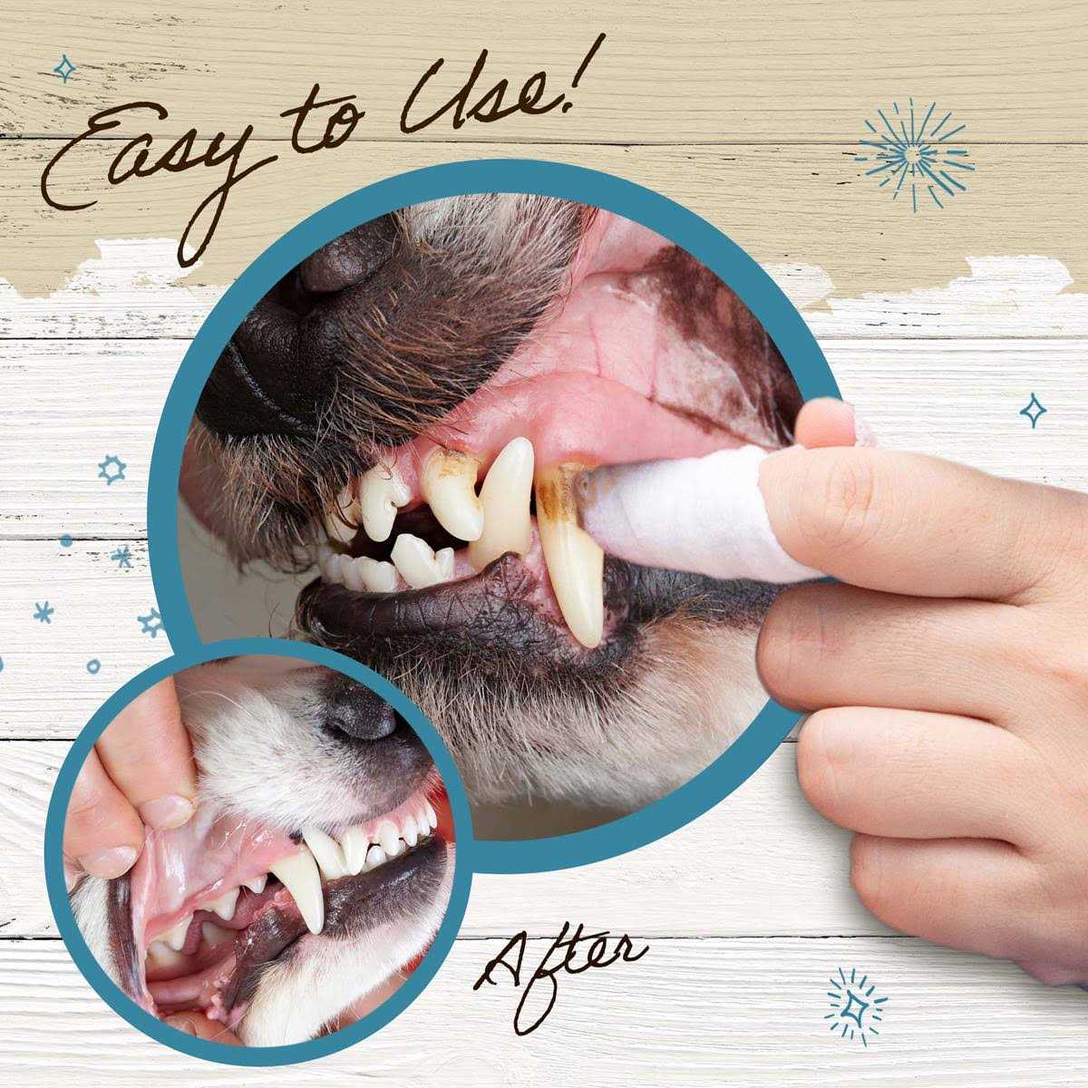 Dr. Pol Dental Wipes for Dogs & Cats 50 Count - Pet Supplies online store