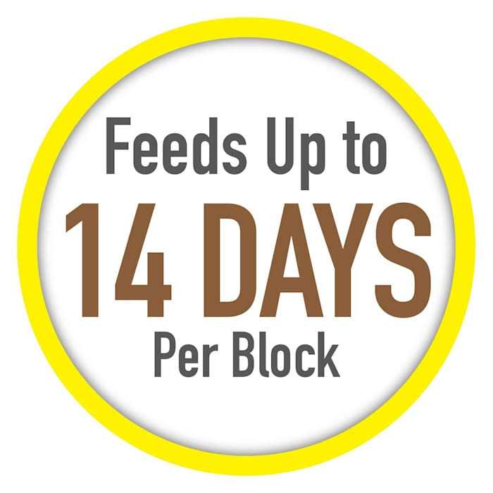 Tetra Vacation Tropical Slow Release Feeder - Pet Supplies online store