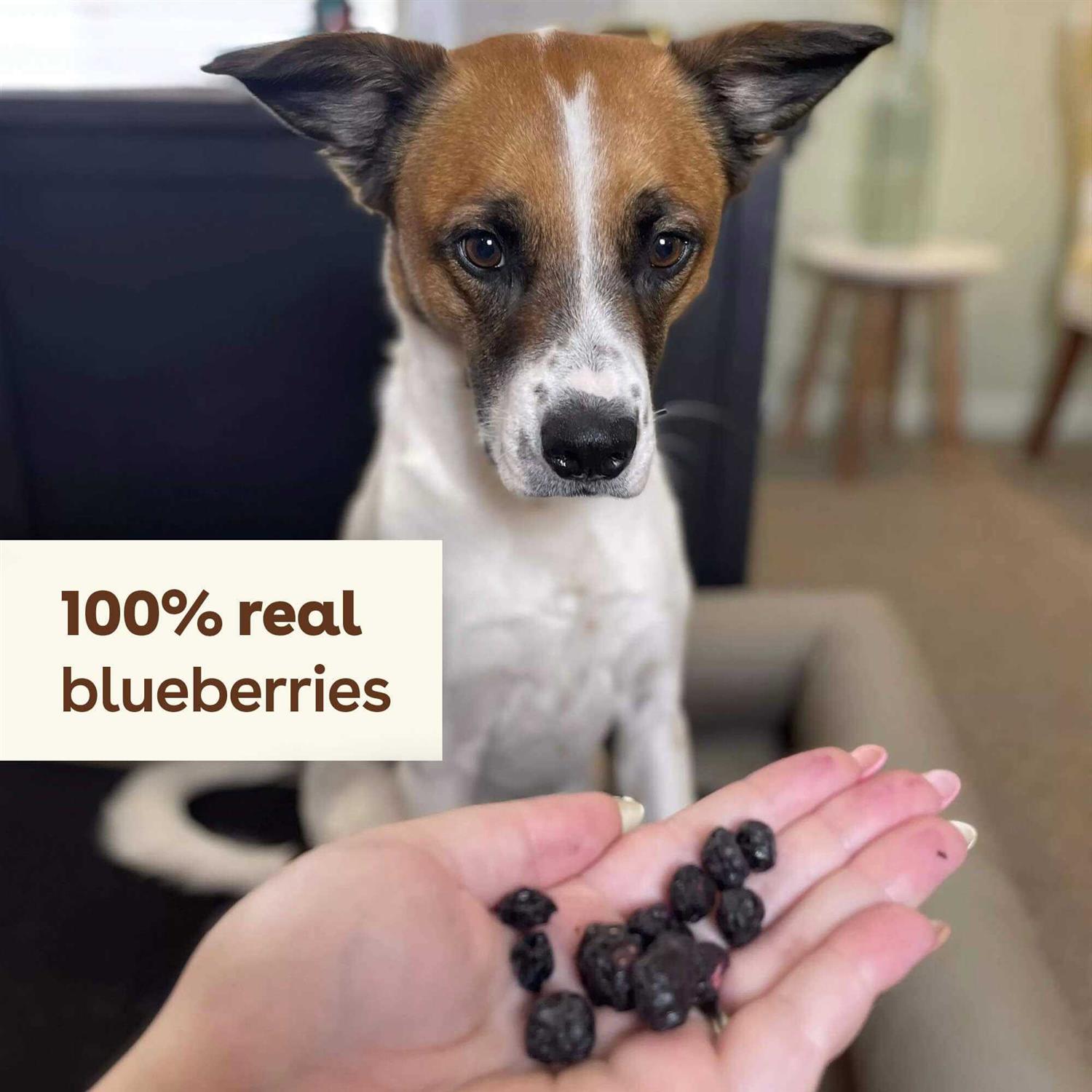 Pupford Freeze Dried Dog Training Treats 425+ Puppy & Dog Treats - Pet Supplies online store