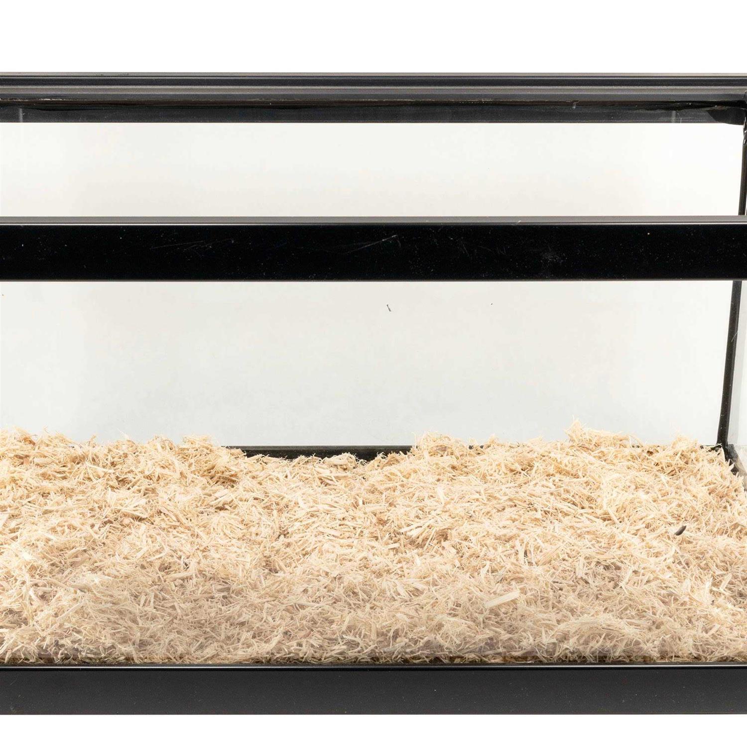 Zoo Med Aspen Snake Bedding - Pet Supplies online store