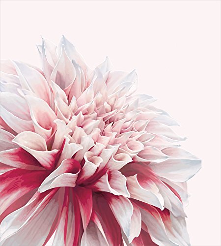 Ambesonne Watercolor Duvet Cover Set, Delicate Hydrangea Flowers Blooming Botanical Arrangement Wedding Inspired, Decorative 3 Piece Bedding Set with 2 Pillow Shams, King Size, Violet Blue