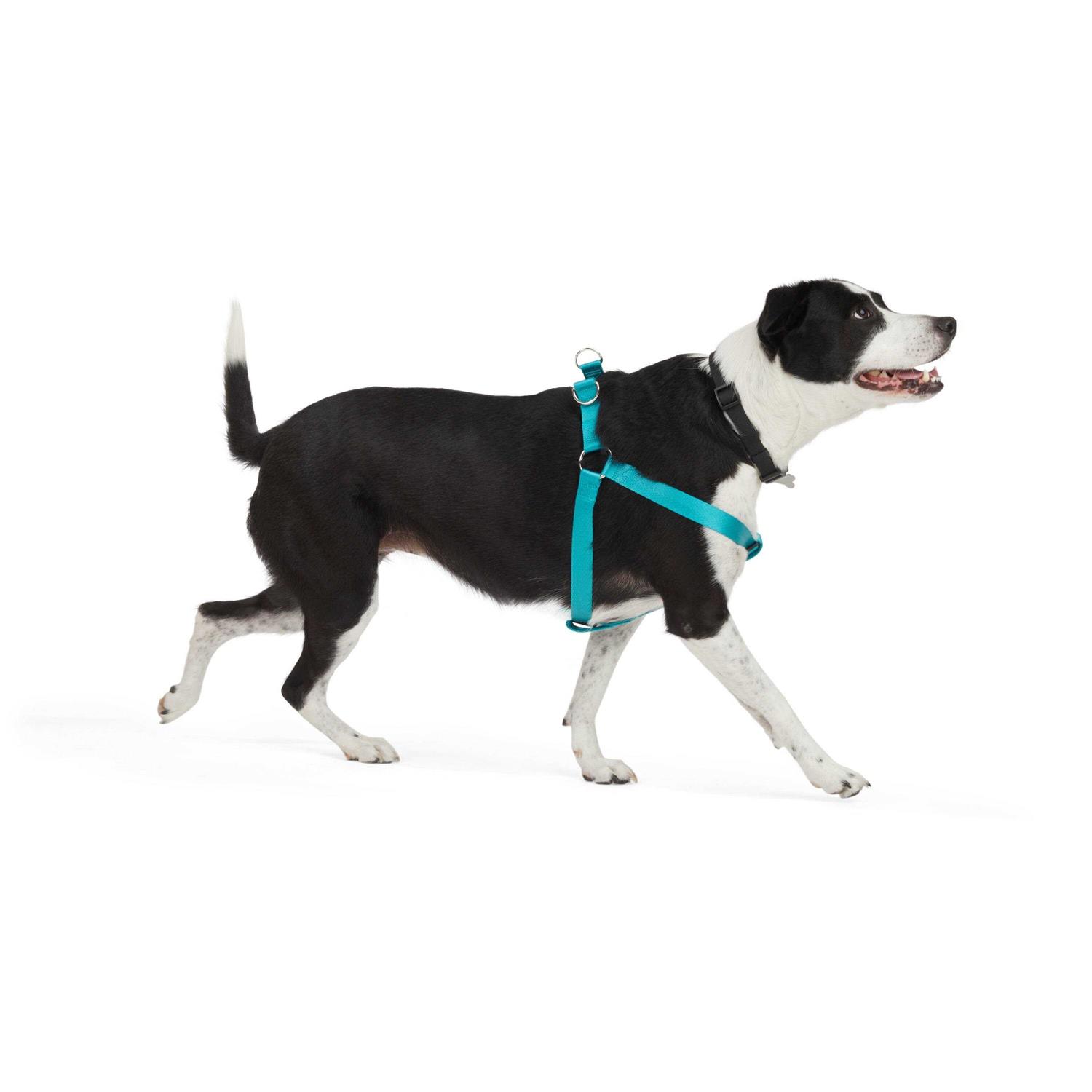 Youly Dog Harness Herringbone - Pet Supplies online store