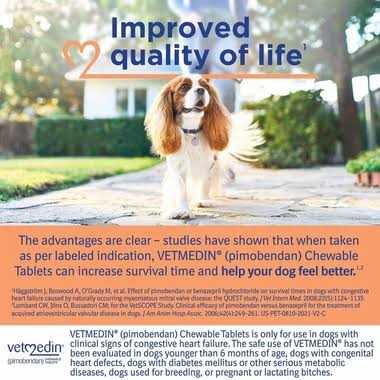 Vetmedin 5mg 1 Chewable Tablet - Pet Supplies online store