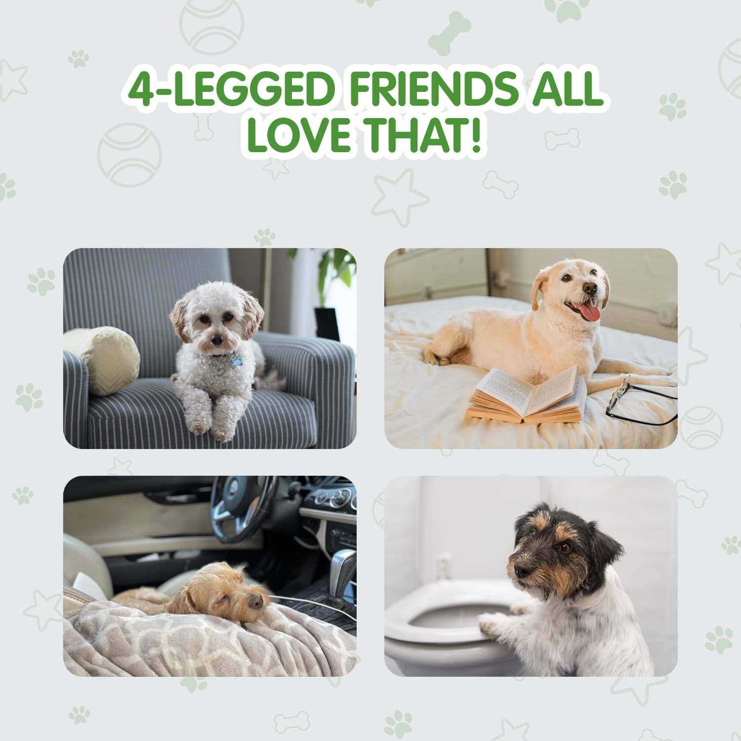 COCOYO Best Value Dog Training Pads - Pet Supplies online store