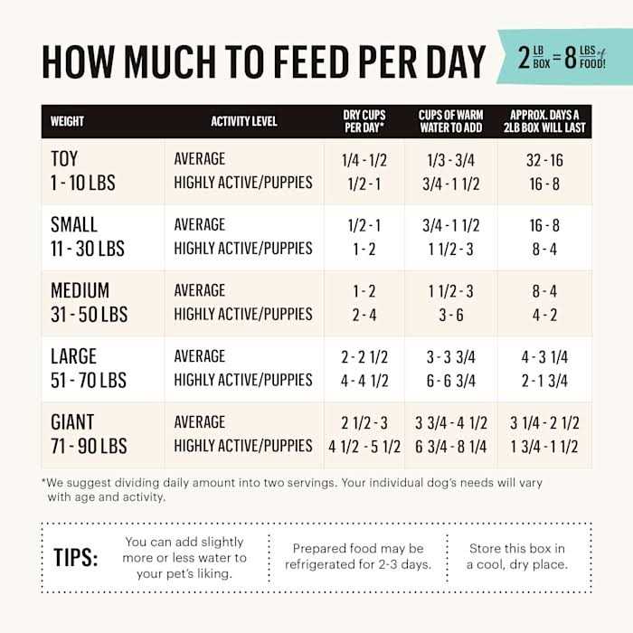 The Honest Kitchen Dehydrated Grain Free Beef Dog Food - Pet Supplies online store