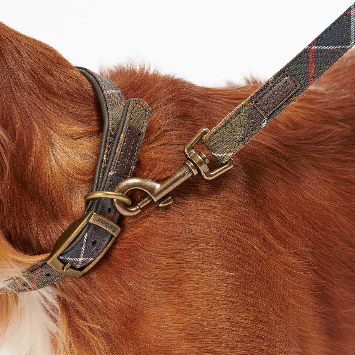 Barbour Tartan Webbing Collar - Pet Supplies online store