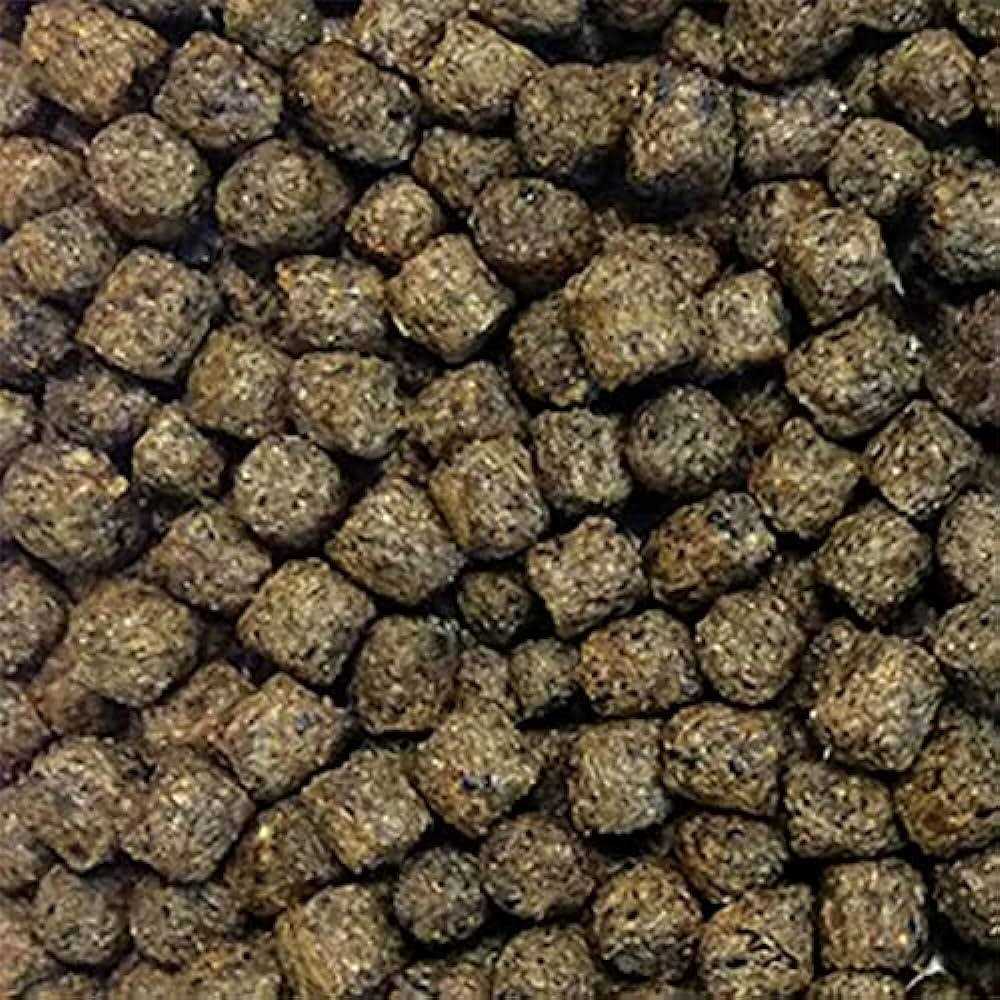 The Pond Guy Staple Fish Food - Pet Supplies online store