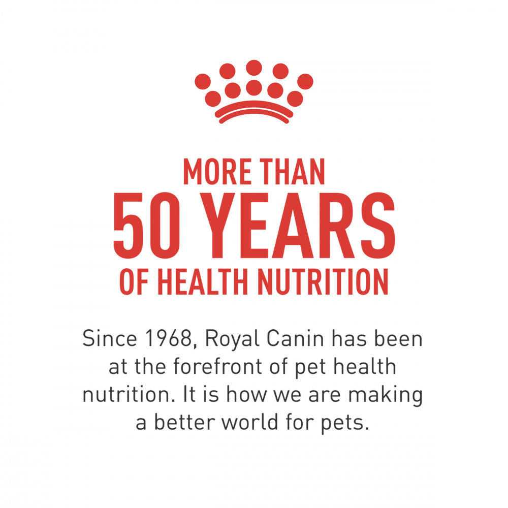 Royal Canin Breed Health Nutrition Dachshund Puppy Dry Dog Food - Pet Supplies online store